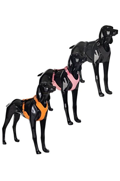 PAIKKA Visibility Harness for Dogs