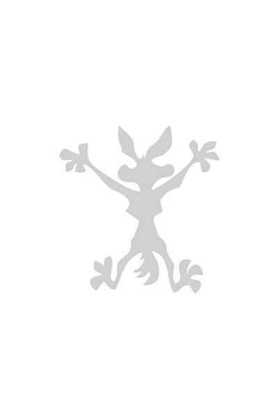 Orafol Decorative Sticker for Wall, Window, and Car, Coyote, 19x20 cm, White