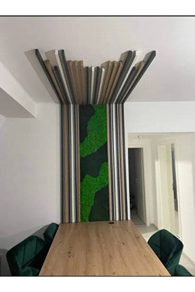 Narium Tablou cu licheni 100x40 cm