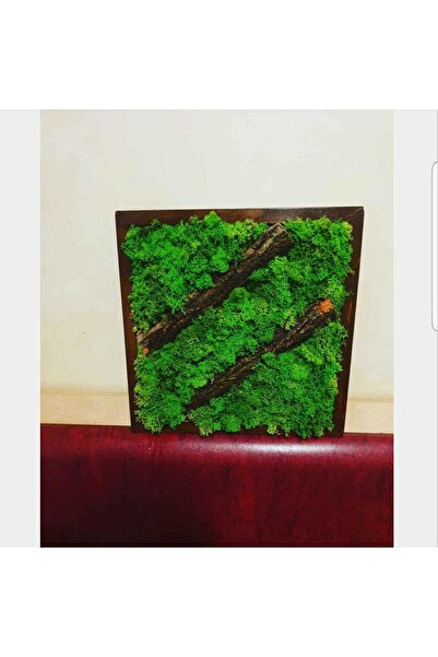 Narium Ramă Lichen 30×30 cm