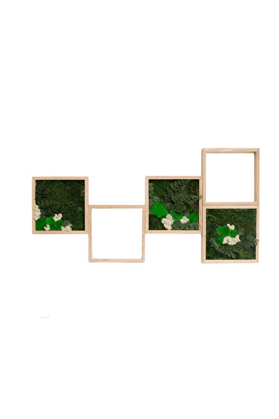 Narium Set Tableaux cu Mușchi Stabilizat 30×30 cm