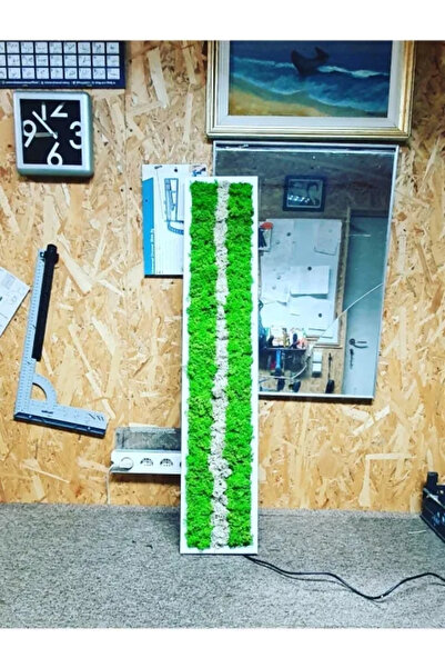 Narium Tablou cu licheni 100×20 cm