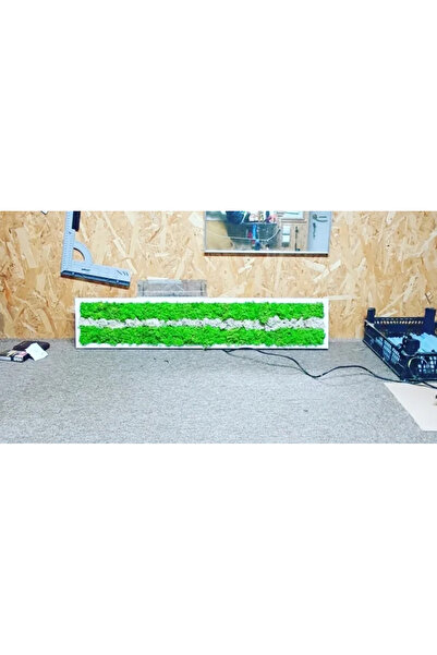 Narium Tablou cu licheni 100×20 cm