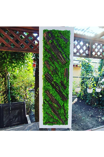 Narium Cadru cu licheni stabilizați 100×30 cm