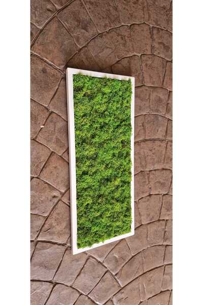 Narium Cadru din mușchi stabilizat 70×30 cm