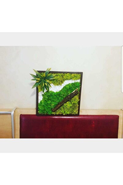 Narium Lucrare de artă cu mușchi 30x30 cm