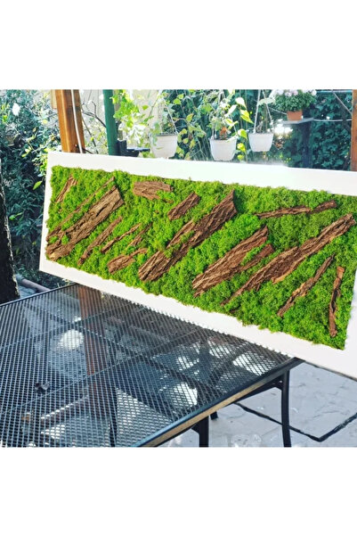 Narium Tablou cu licheni 100×30 cm