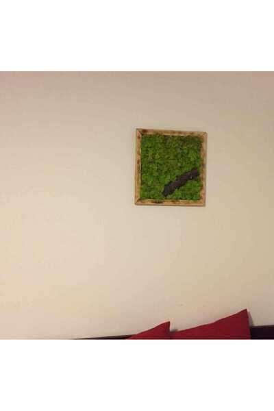 Narium Ramă din mușchi 30×30 cm