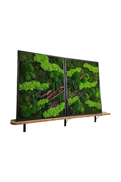 Narium Set pictură mușchi stabilizat 60x50 cm