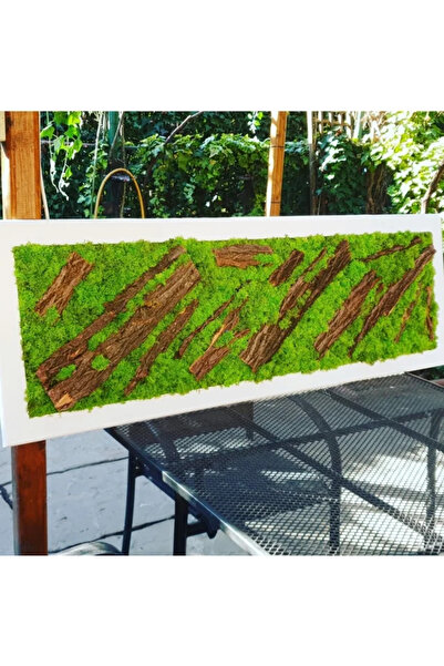 Narium Tablou cu licheni 100×30 cm