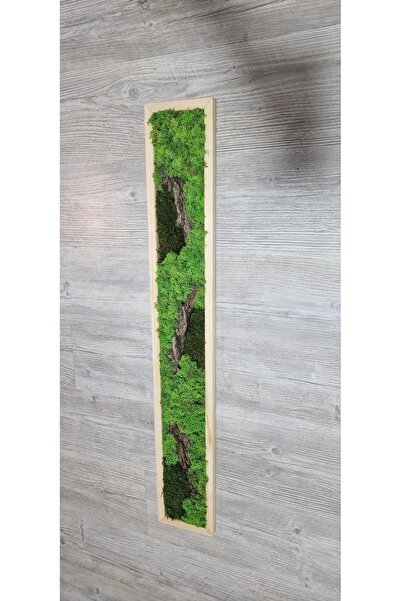 Narium Stabilized Moss Frame 100x15 cm