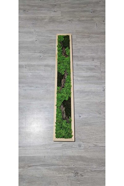 Narium Stabilized Moss Frame 100x15 cm