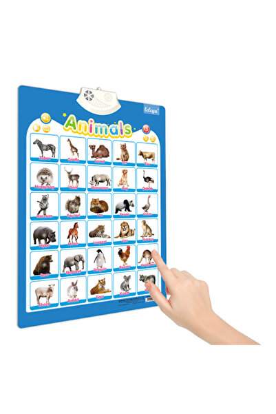 ZL Teknoloji Poster Interactiv in Limba Engleza - Animale