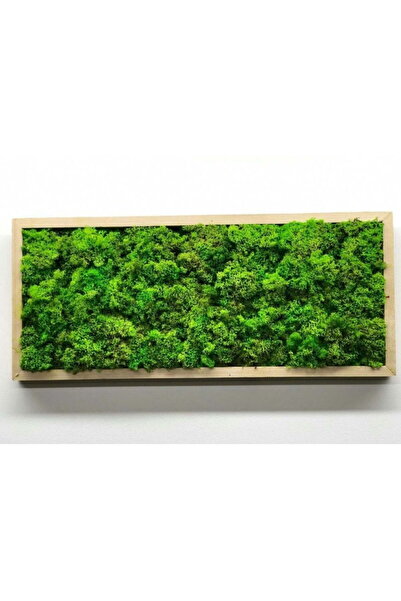 Narium Tablou cu licheni 70×30 cm