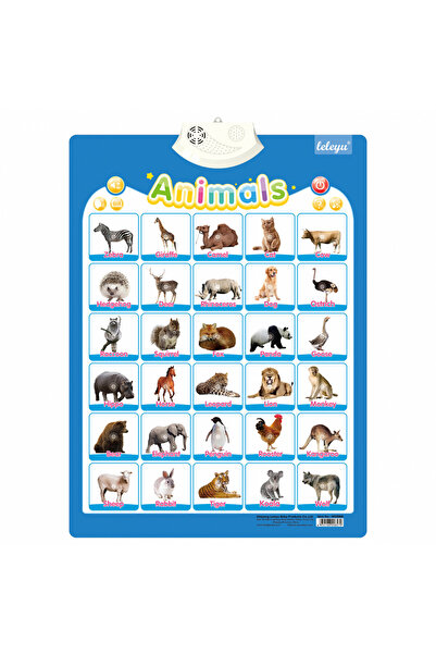 ZL Teknoloji Poster Interactiv in Limba Engleza - Animale