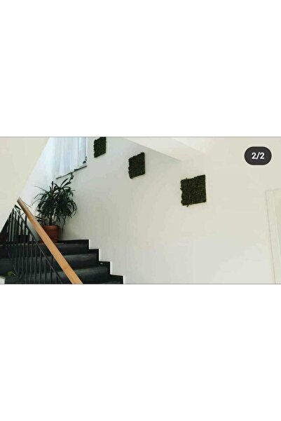 Narium Picturi cu mușchi SET 30×30 cm