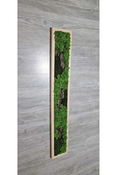 Narium Stabilized Moss Frame 100x15 cm
