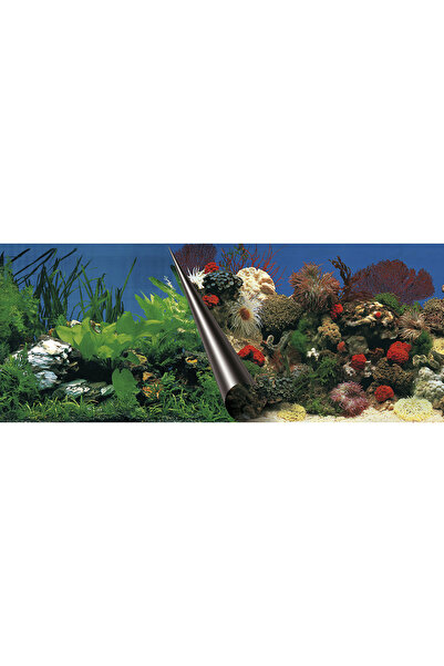 Laroy Fundal Dublu Pentru Acvariu, Piatra Si Coral, 60x30 cm 241/108833