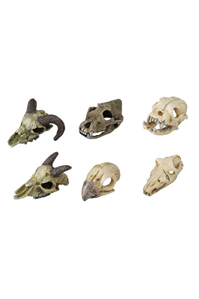 Laroy Decor Mini Craniu, 7-10 cm, Diverse Modele, L236/237878