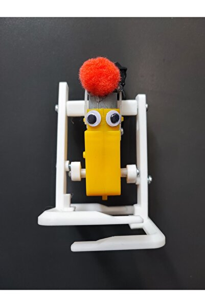 OEM Stem Yürüyen Yarış Robot Kiti