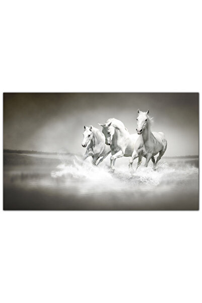 Generic لوحه جداريه كانفس - خيول بيضاء تركض على الماء - 926