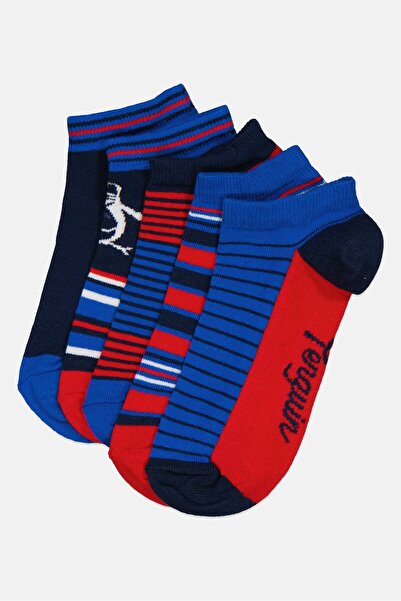 Original Penguin Kids Boy 5 Pairs Stripe Ankle Socks, Multicolor