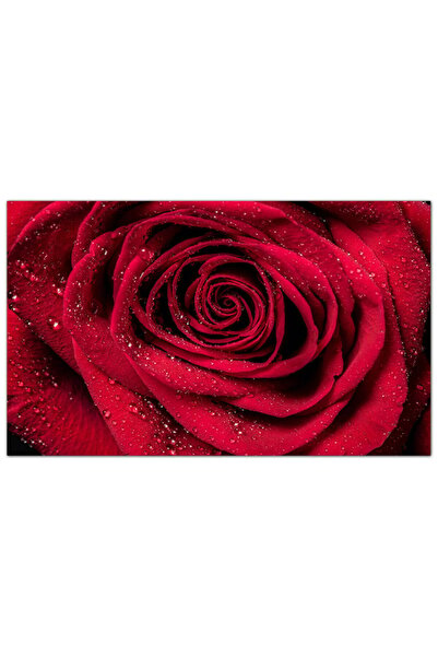 Generic لوحه جداريه كانفس - ورده حمراء بقطرات الندى - 1576