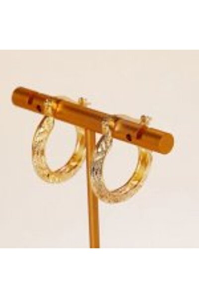 OEM Elegant Round Earrings in S925 Silver Plated with 14K Gold – Royal Shine and Eternal Refinement