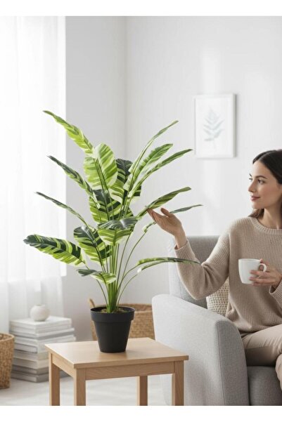 Nettenevime Yapay Çiçek Çizgili Muz Yapraklı Alaca Starliçe Salon Çiçeği 18Dal 80*50cm Yapay Bitki