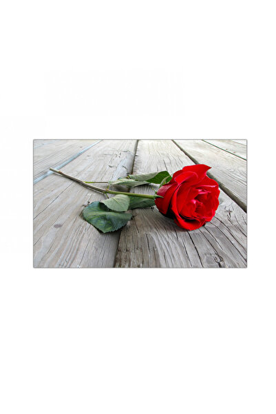 Generic لوحه جداريه كانفس - زهرة حمراء - 300946