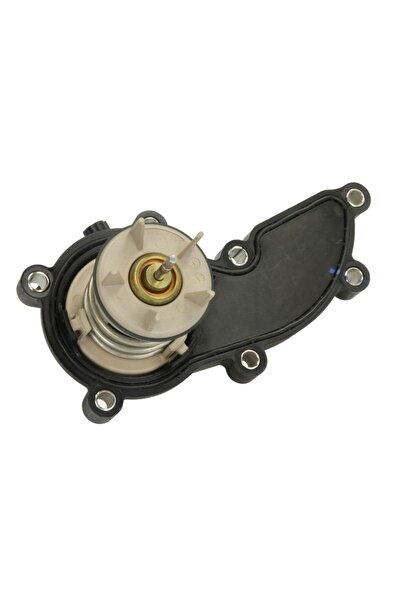 VERNET Car thermostat, Porsche CAYENNE (92A)