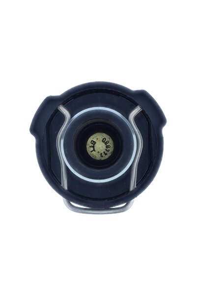 MOTORAD Car thermostat, Volkswagen CC B7 (358)