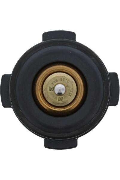 MOTORAD Car thermostat, Seat ARONA (KJ7, KJP)