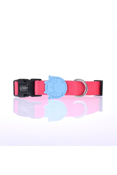 Boyun Tasması- Bubble- Medium Collar