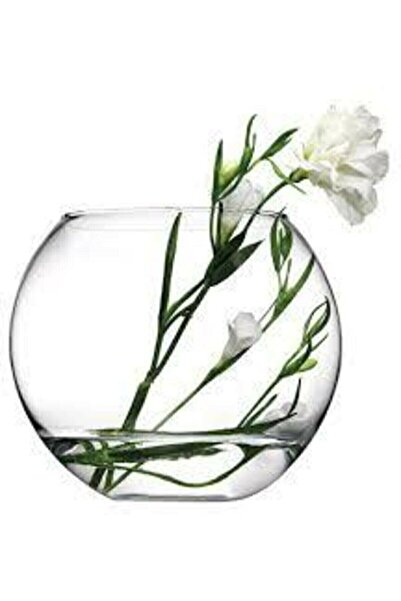 Paşabahçe Büyük Boy Cam Fanus Vazo Akvaryum 20-16 Cm