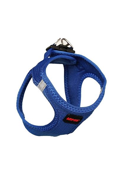 Lepus Cat Dog Size Collar Blue 2xs