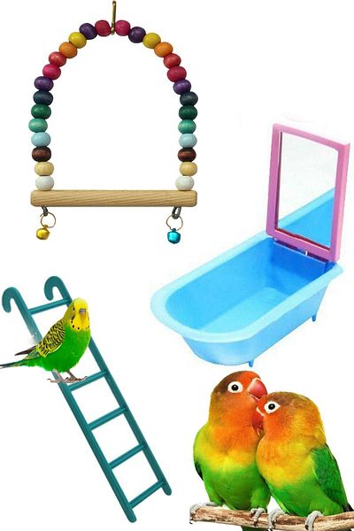 WODDY Toy Set for Budgie and Parrot Parrot