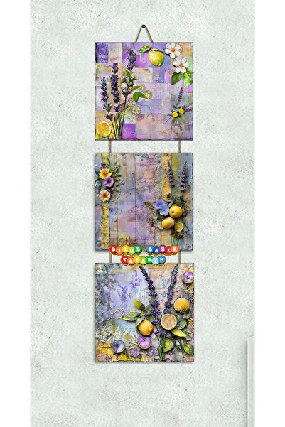 Bilge Lazer Otantik Hediyelik halatlı dekoratif tablo detaylı 3 lü set