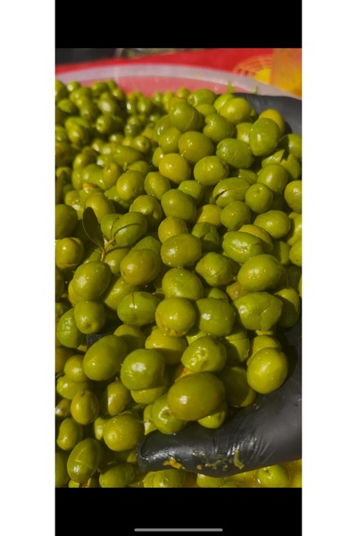 Kırmalık Gemlik ham yeşil zeytin İRİ boy kendin tatlandır NET:3KG