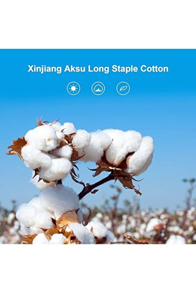 fulina Men's Athletic Socks 100% Cotton Sports Comfort Cushion Sports Ankle Socks Comfort Fit Low-Top Sport