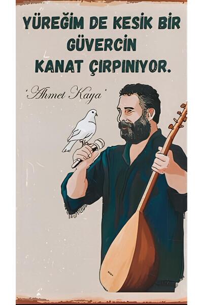 Boyut AHMET KAYA POSTER