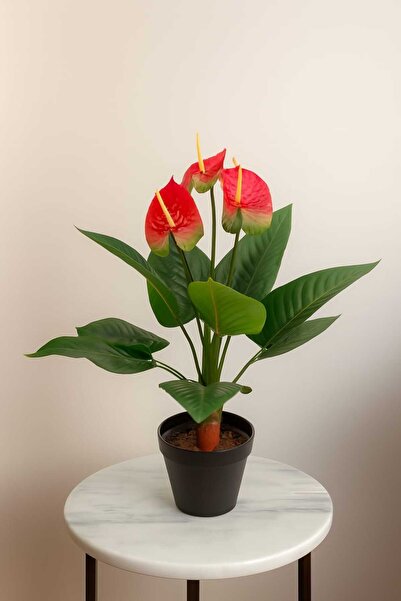 MAKİ DEKOR DEKORATİF YAPAY AĞAÇ ISLAK DOKULU ÇİÇEKLİ ANTHORİUM BİTKİSİ 70 CM