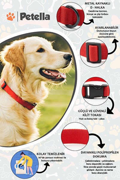 Petella Köpek Tasması Köpek Boyun Tasması Küçük Orta Büyük Irk Köpek Boyun Tasması