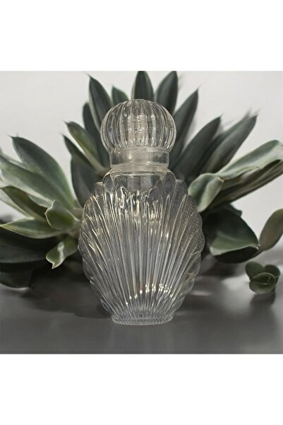 Ervo 40 ml Hijyen Kolonyası PET Şişe – İstiridye Mika Kapaklı, Çanta Boy, 20 ...