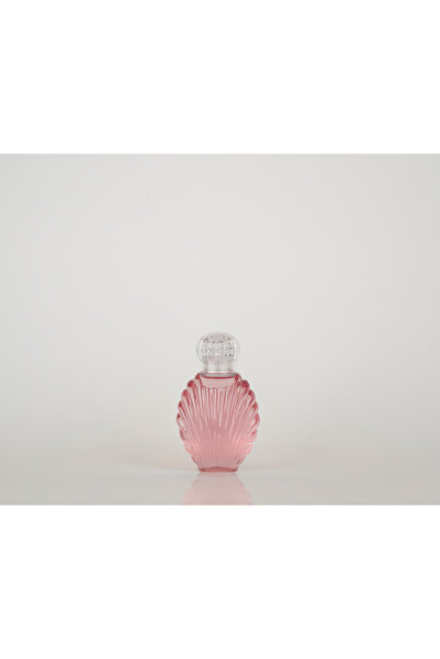 Ervo 40 ml Hijyen Kolonyası PET Şişe – İstiridye Mika Kapaklı, Çanta Boy, 20 Adet