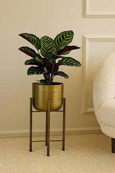 Valda 45 CM GOLD ESKİTME SAKSI ÇAP 20 CM