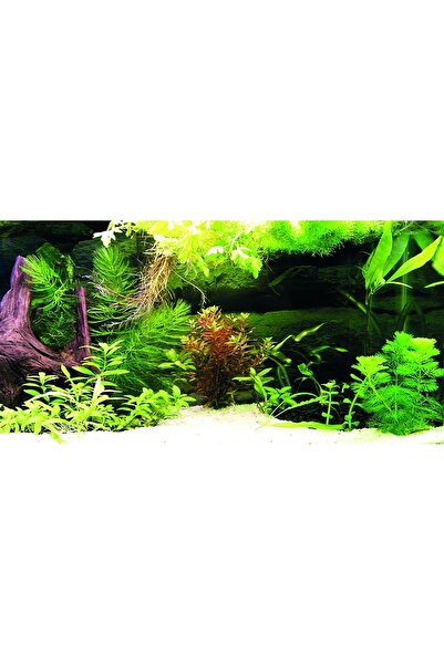 Kanki Pet KP1256336 Akvaryum Arka Fon Yapıştırma 125 x 63 CM