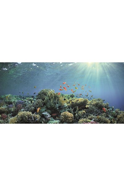 Kanki Pet KP10552030 Akvaryum Arka Fon Yapıştırma 105 x 52 CM