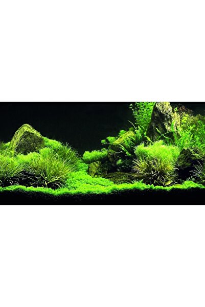 Kanki Pet KP1256335 Akvaryum Arka Fon Yapıştırma 125 x 63 CM
