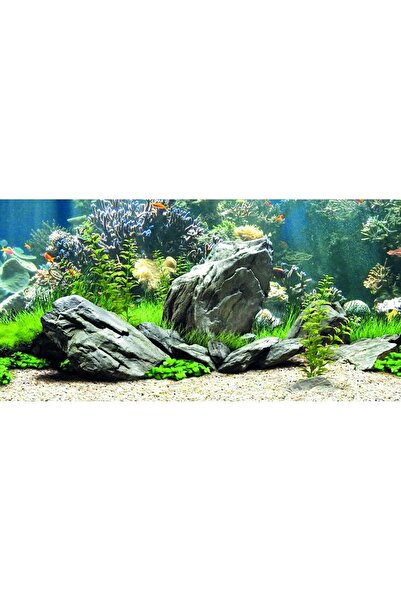 Kanki Pet KP1256334 Akvaryum Arka Fon Yapıştırma 125 x 63 CM